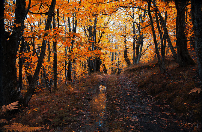 Colori e atmosfere autunnnale  nei parchi