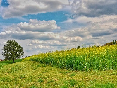Escursioni -trekking guidata a San Pietro di Ozano